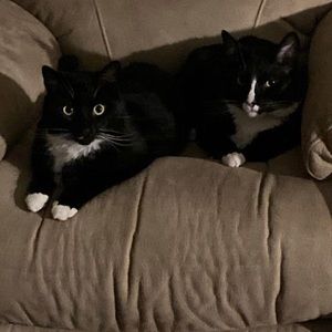 Meet your Posher, Tara